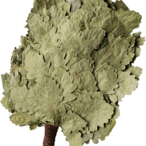Oak Leaf Sauna Broom. A “right” bath broom is both science and real art!