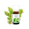 Antimicrobial oil for baths and saunas "Mint" 10ml