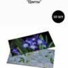 Greeting  Cards. Money envelope  Size: 16.5cm × 8cm