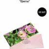 Greeting  Cards. Money envelope  Size: 16.5cm × 8cm