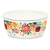 Enamel Salad Bowl with Plastic Lid