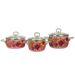 Enamel Cookware Vitross "Violeta", All Cooktops Including Induction.  Coming Soon